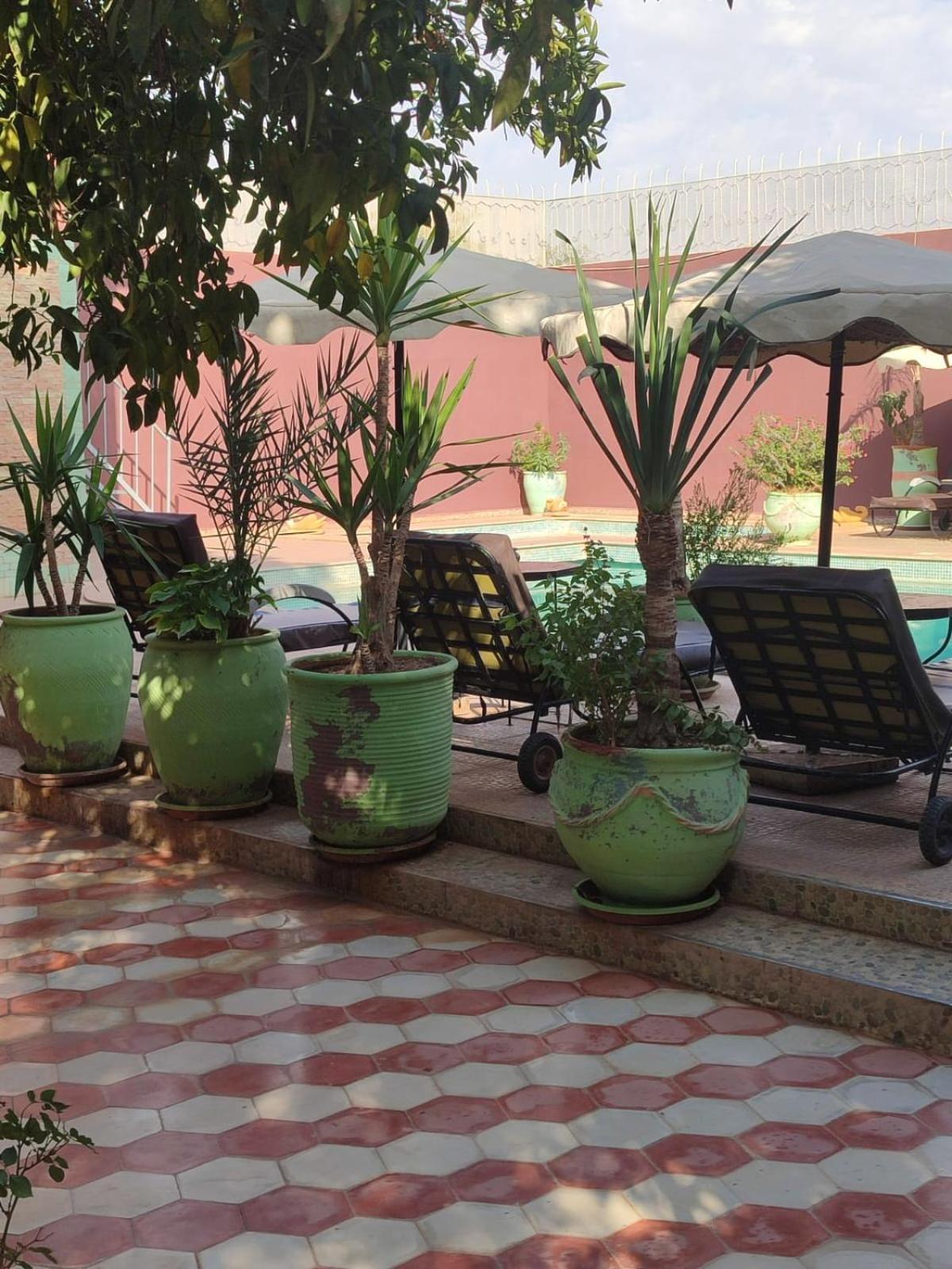 Riad Les Jardins Mabrouk Taroudant Ngoại thất bức ảnh