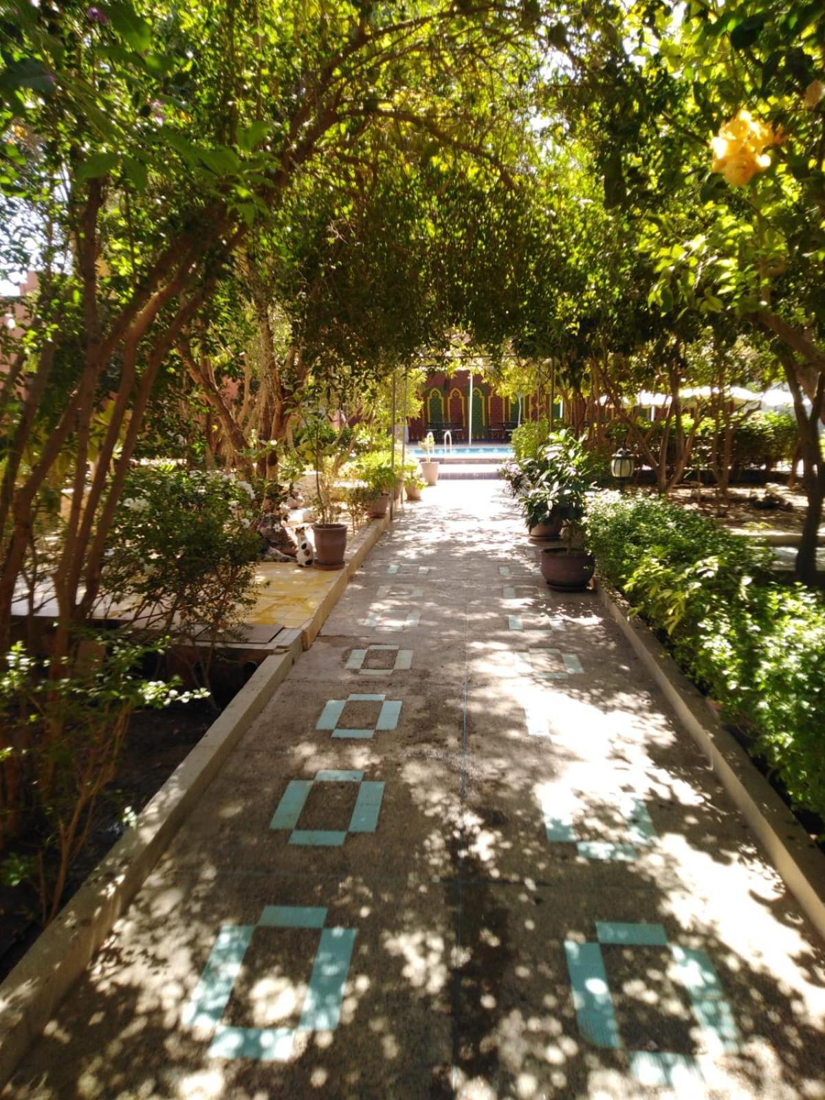 Riad Les Jardins Mabrouk Taroudant Ngoại thất bức ảnh